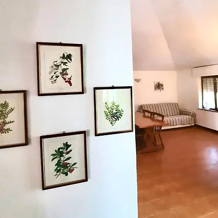 Pineta Sul Mare S'ena E Sa Chitta Holiday home *